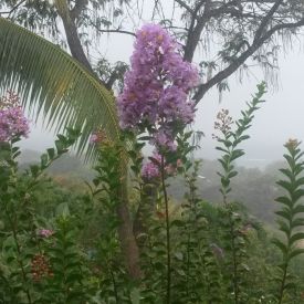 Jour De Pluie